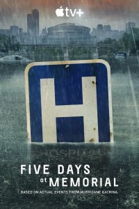 Пять дней после катастрофы (1 сезон)