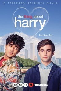 Постер к Кое-что о Гарри (2020)