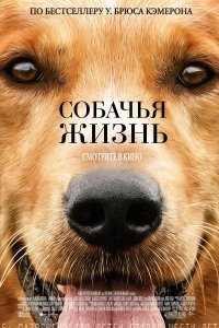Постер к Собачья жизнь (2017)
